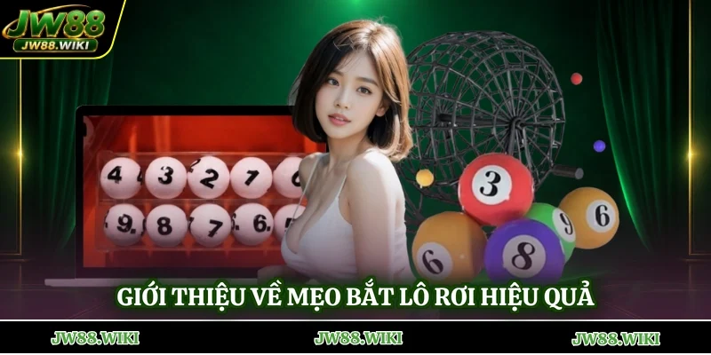 Giới thiệu về mẹo bắt lô rơi hiệu quả
