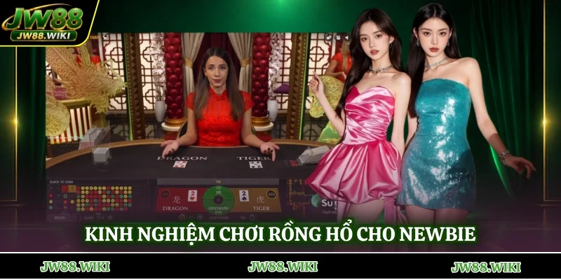 Kinh nghiệm chơi Rồng Hổ cho newbie